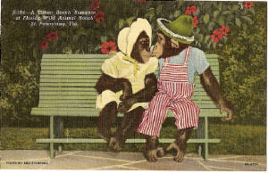 WC4/GreenBenchMonkeys.jpg
