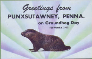 WC4/groundhog1.jpg