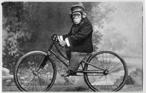 WC4/monkey_on_bicycle_vintage.jpg